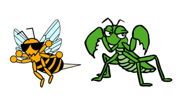【画像】見た目最強 カマキリとスズメバチを組み合わせたような昆虫