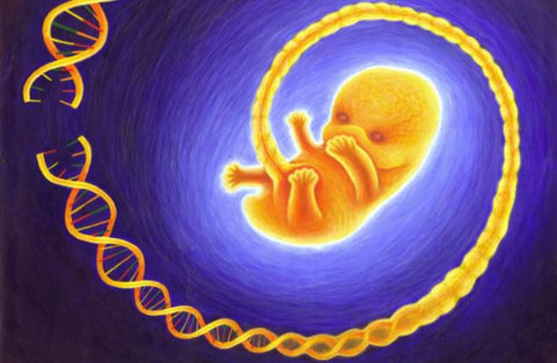 中国 とうとう人間のパチモンを作りだす…ヒト受精卵に遺伝子操作